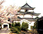 Le château de Wakayama