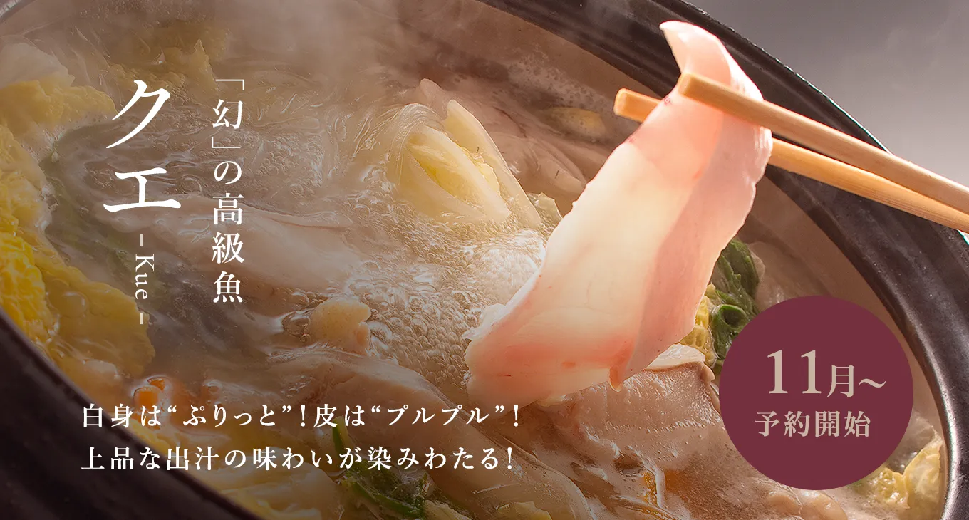 「幻」の高級魚 クエ